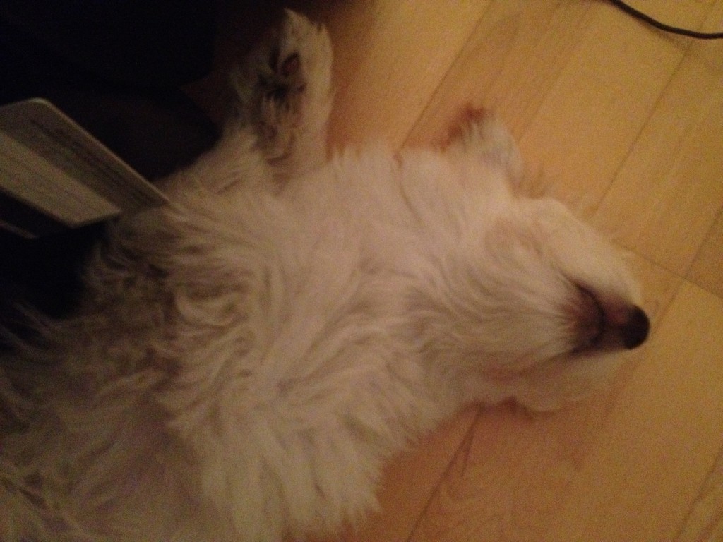 IMG_3554