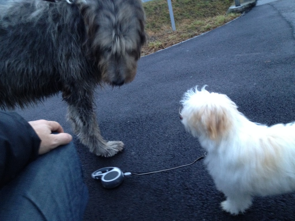 Jamie_und_Justin (1)