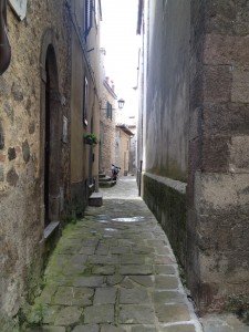 IMG_4651