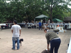 IMG_4661