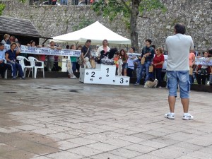 IMG_4684